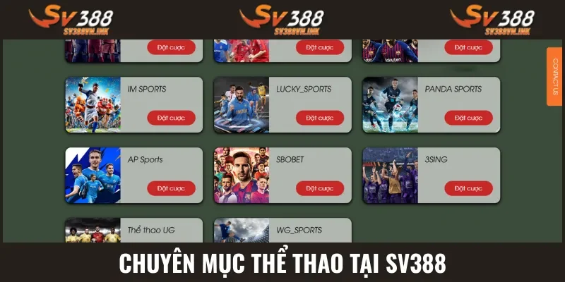 Thể thao vô vàn kèo ngon 